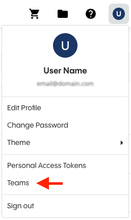 Screenshot - Teams Navigation